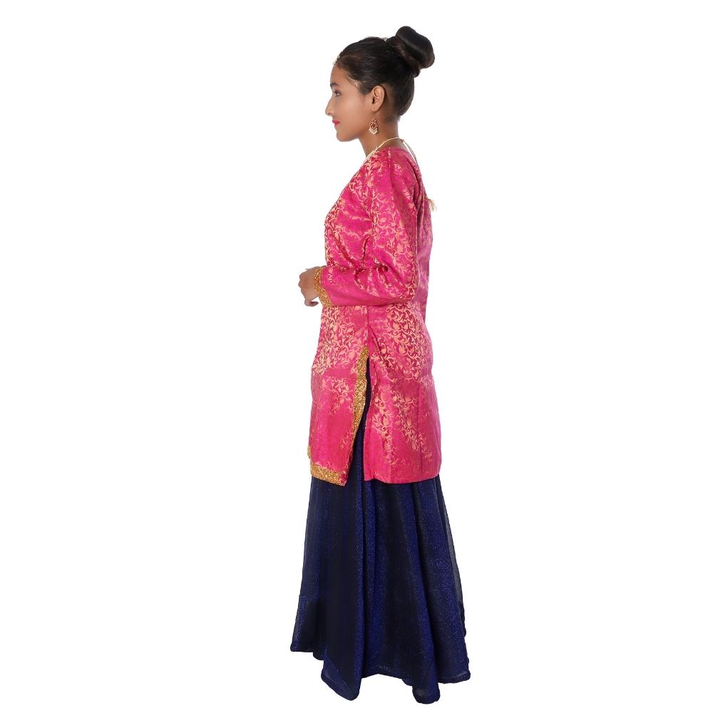 Indo Western Dance Dress Costume