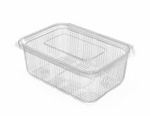 PET Hinged Containers: AT 700/900