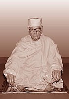 Swami Shivamayananda - Vice-President (2017 – 21)