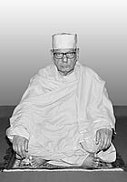 Swami Shivamayananda - Vice-President (2017 – 21)