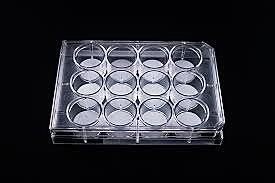 Insect Bioassay Trays 6, 12, 24 and 48 wells