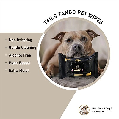 Pet Wet Wipes 100 PCS