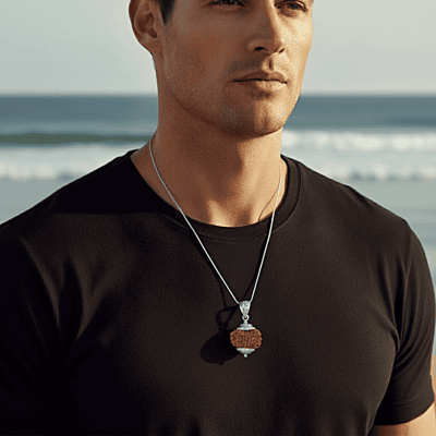 12 Mukhi Rudraksha – Natural & Certified