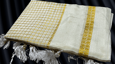 Premaloka Fancy Mysore Check Saree - White