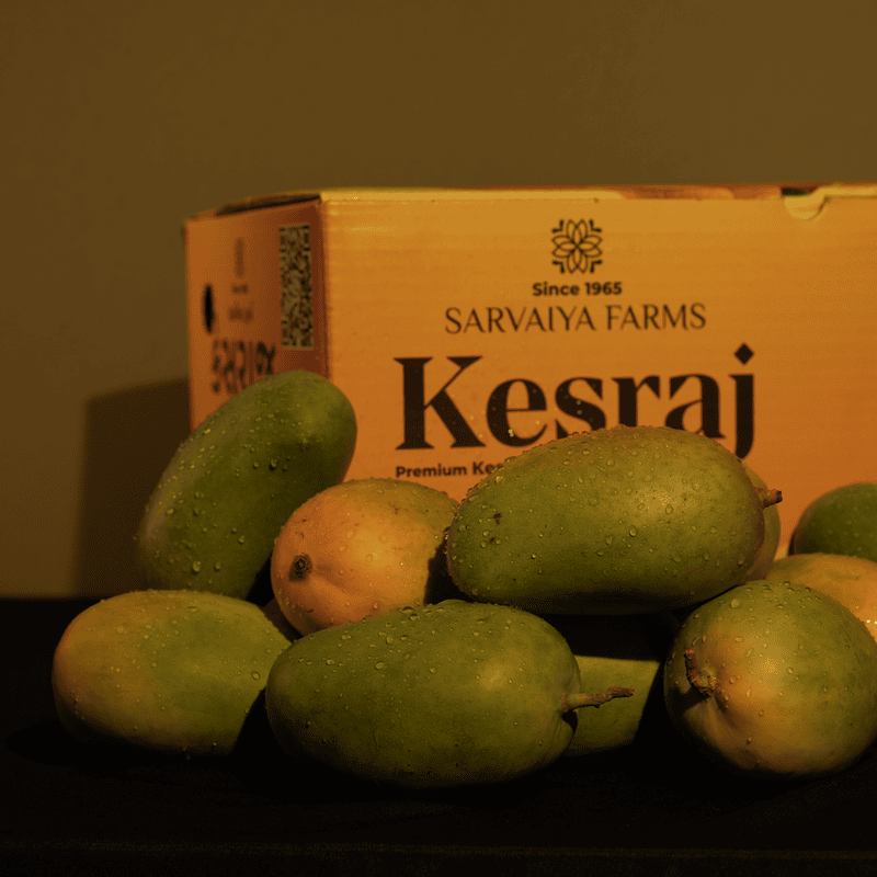 10KG Family Box - Premium Harvest