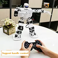 16DOF Intelligent Humanoid Robot