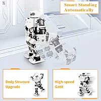 16DOF Intelligent Humanoid Robot