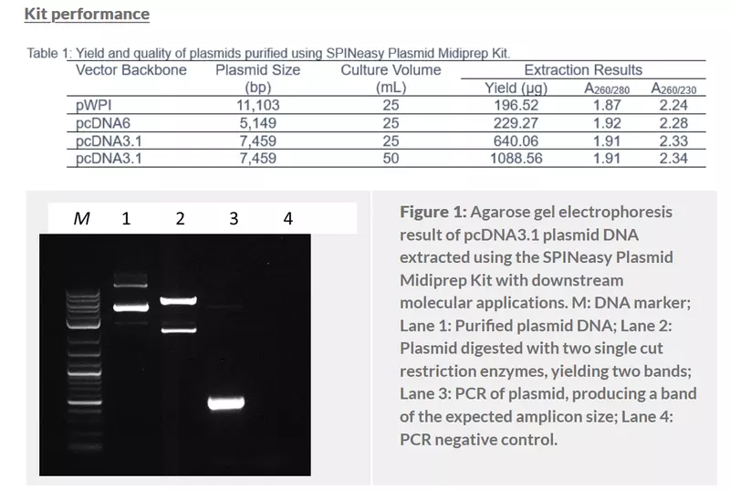 SPINeasy® Plasmid Midiprep Kit 25preps MP