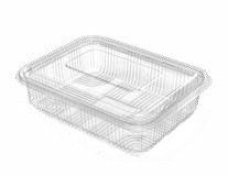 PET Hinged Containers: AT 751/700