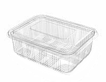 PET Hinged Containers: AT 751/950