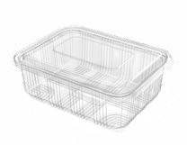 PET Hinged Containers: AT 751/950