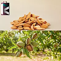 MAMRA BADAM 250GM