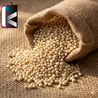 DADAR 5KG
