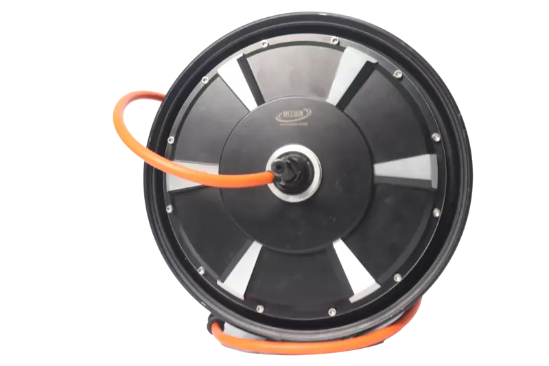12 Inch Hub Motor(250W-550W)