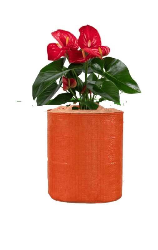 Orange HDPE Grow Bag 12x12 Inch, Pack of 1