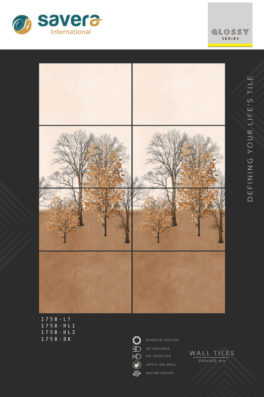 450x300 Glossy Plain