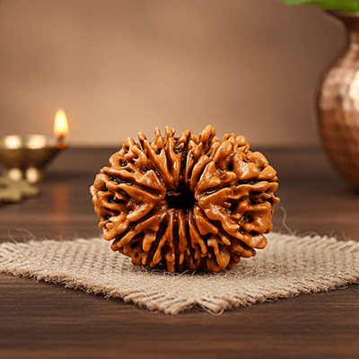 13 Mukhi Rudraksha – Natural & Certified