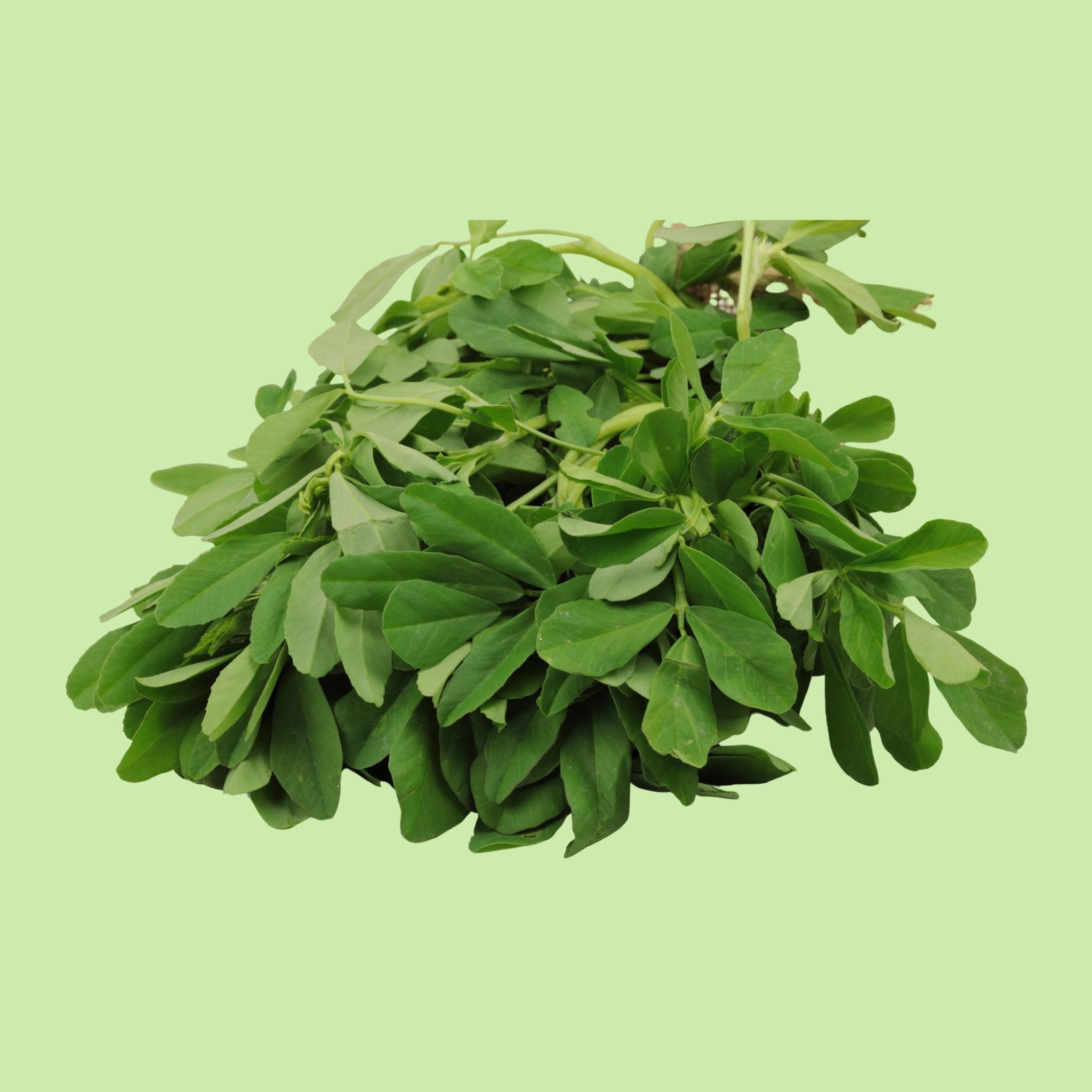 Methi - 100g