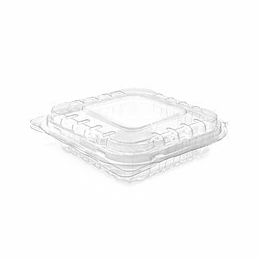 CLAMSHELLS - PNG 100 / 34