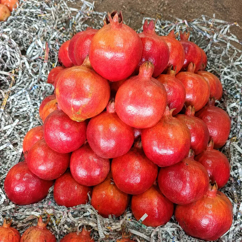 Anar | 14 Dana | Premium Quality