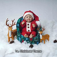 Studio Package (33 Themes)