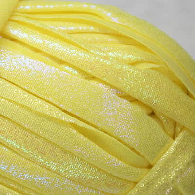 T-Shirt Yarn Metallic 107