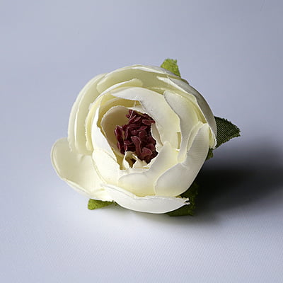 Peony flower Small Peony flower Small