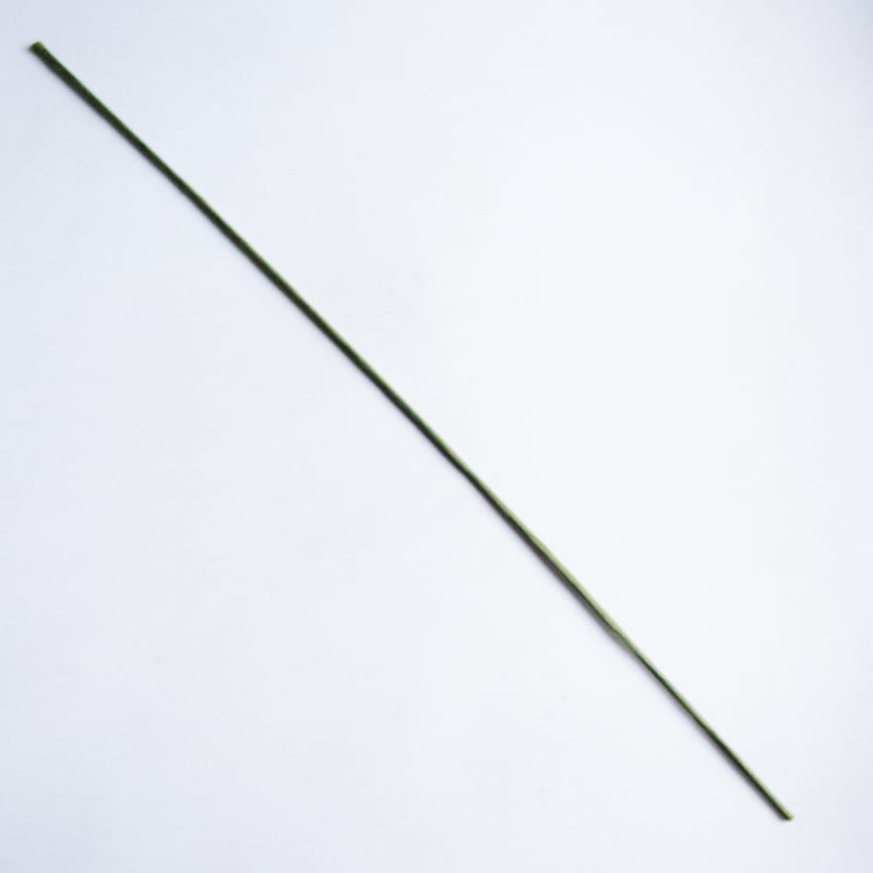 Green stick Green stick