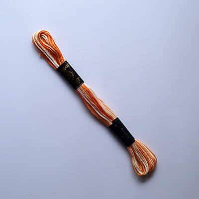 Rangoli Embroidery Thread R6698