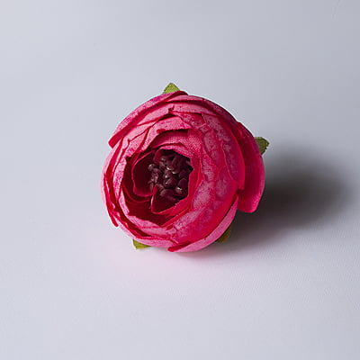 Peony flower Small Peony flower Small