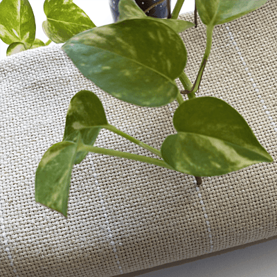 Monk Cloth Cotton Monk Cloth Cotton