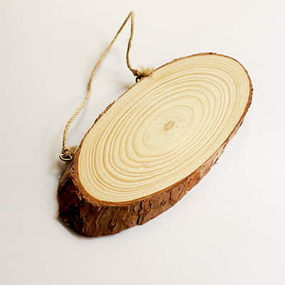 Wood log Oval Wood log Oval