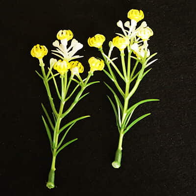 Artificial Flower Pollen Plastic Artificial Flower Pollen Plastic