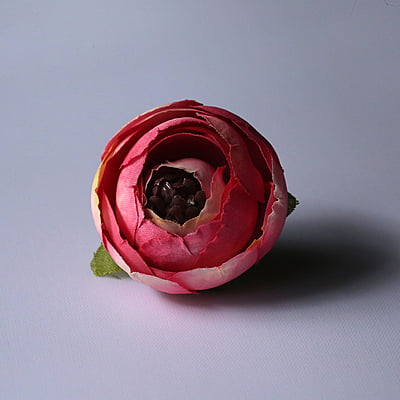 Peony flower Small Peony flower Small