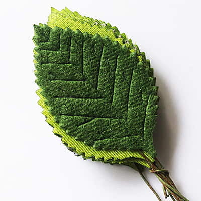 Artificial Leaf Artificial Leaf