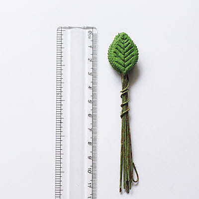 Artificial Leaf Artificial Leaf
