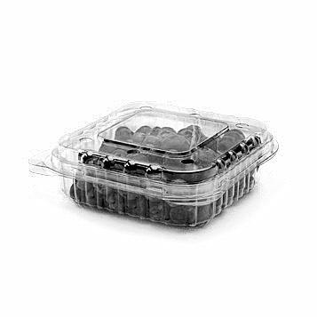 CLAMSHELLS - PNG 100 / 40