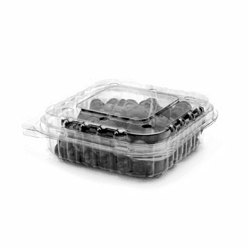 CLAMSHELLS - PNG 100 / 40