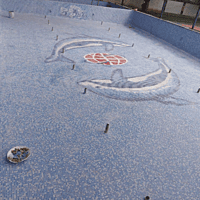 Shri Jain Vidya International School - Swimming Pool