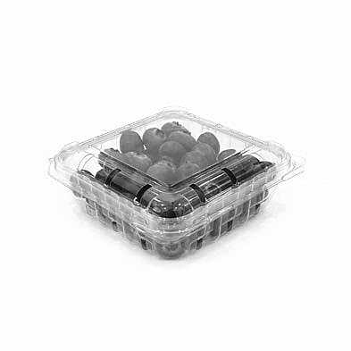 Clamshell Punnets - PNG 108 / 40
