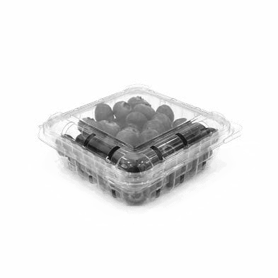 Clamshell Punnets - PNG 108 / 40