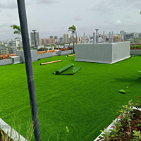 Shree Develpoers - Landscapping