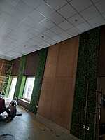 Green Wall With Installation - Shanti Mohan Developers LLP