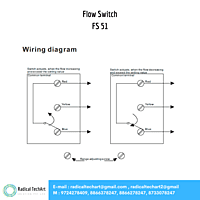 Flow Switch