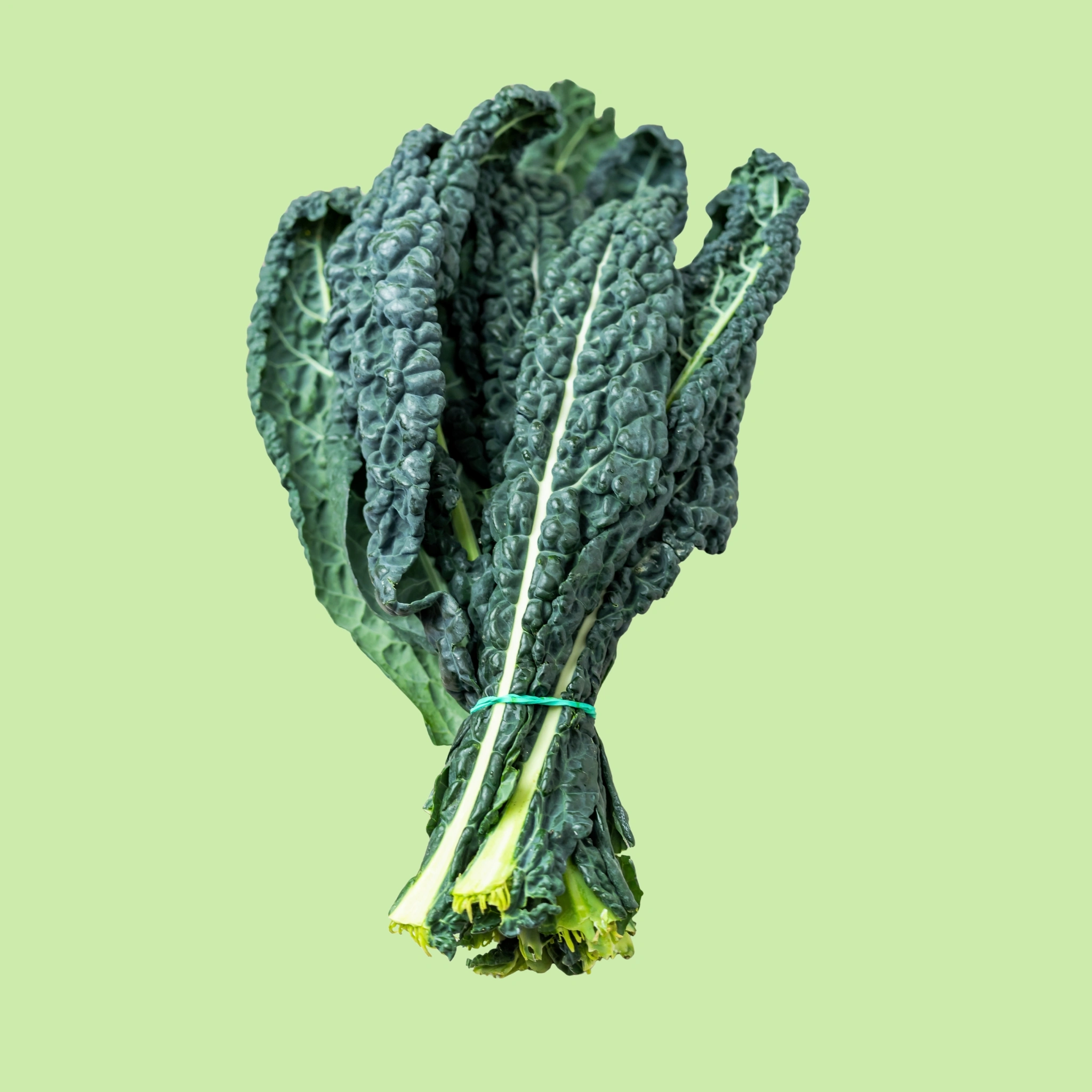 Kale Black/Tuscan/Lactino/Dino - 150g