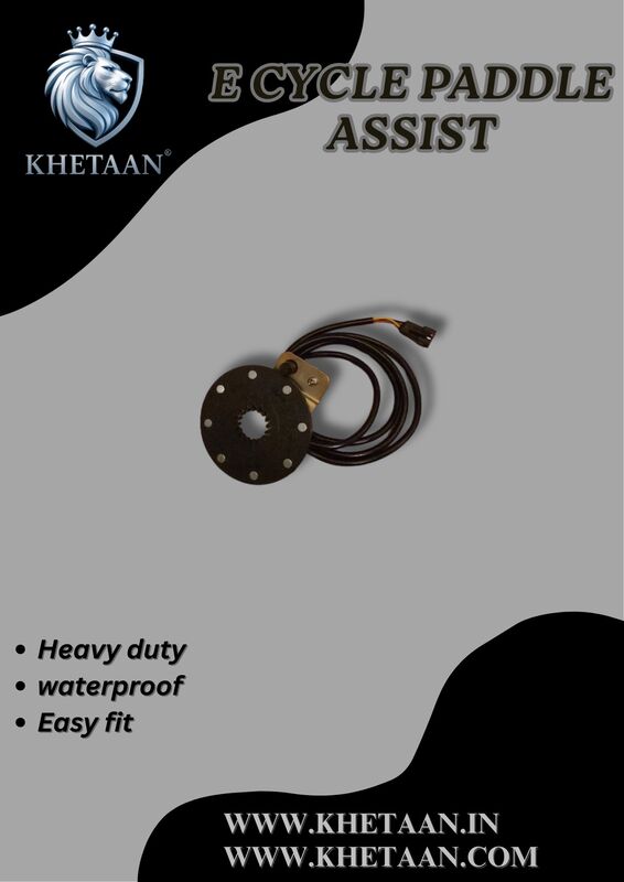 E cycle paddle assist