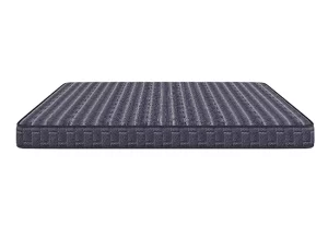 Centuary DR SLEEP Coir Mattress