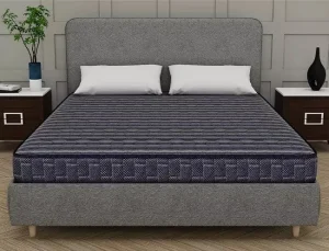 Centuary DR SLEEP Coir Mattress