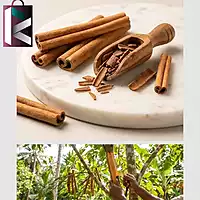 DALCHINI 50GM