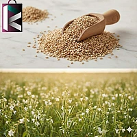 TILLI 1KG